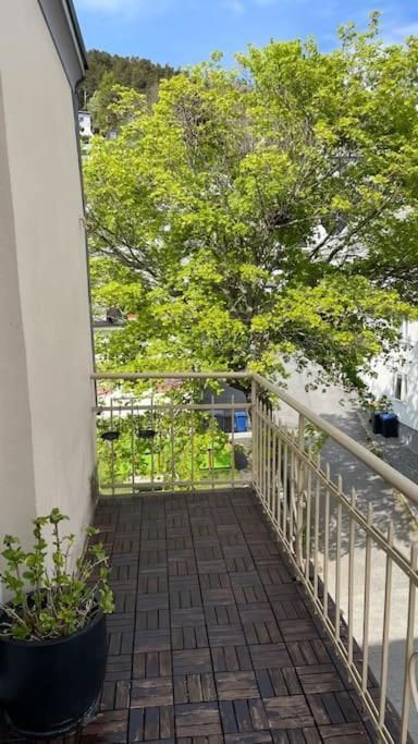 Apartment Fjord-view Apartment, 10 Min Walk To Centrum